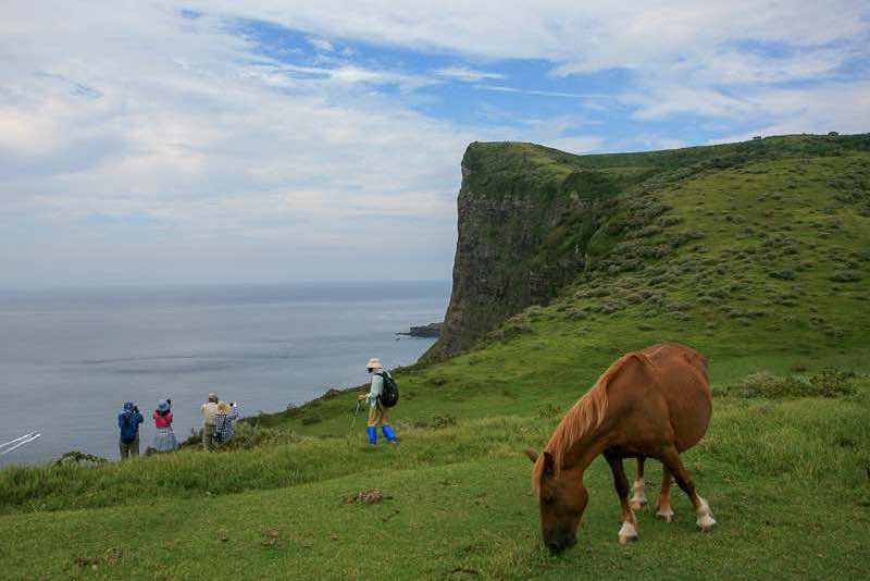 西ノ島 摩天崖の写真